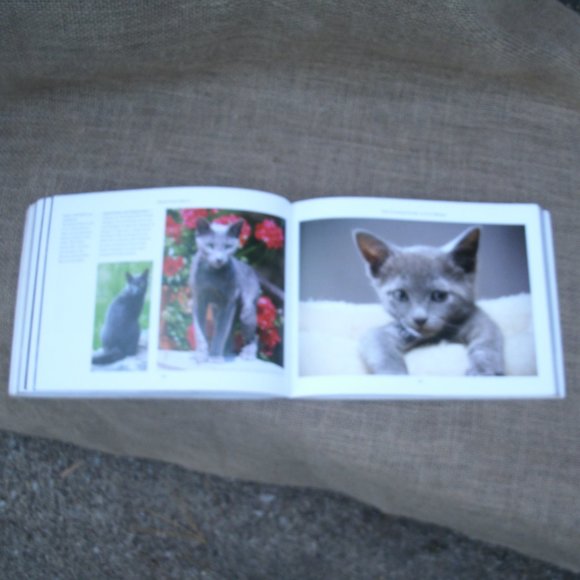 Ultimate Guide to Cat Breeds by Louisa Somerville - Picture 10 of 16